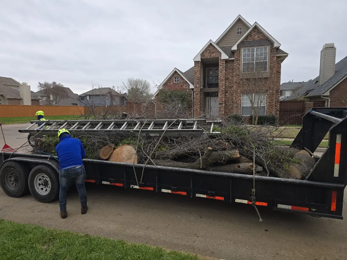 Expert Tree Fertilization with proper safety equipment in Macy